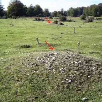 Click para ampliar. Pulsa en el nombre para ver la ficha. Campo tumular