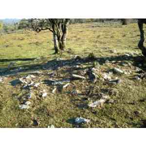 Click para ampliar. Pulsa en el nombre para ver la ficha. nuevo campo tumular en Urbasa(NAVARRA)