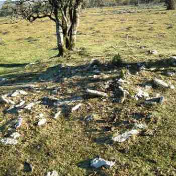 Click para ampliar. Pulsa en el nombre para ver la ficha. nuevo campo tumular en Urbasa(NAVARRA)