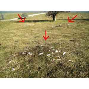 Click para ampliar. Pulsa en el nombre para ver la ficha. campo tumular El Muro Hego (NAVARRA)