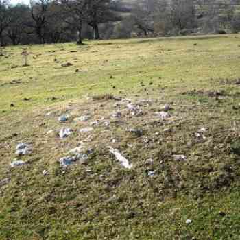 Click para ampliar. Pulsa en el nombre para ver la ficha. nuevo campo tumular de Alava