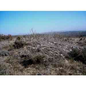 Click para ampliar. Pulsa en el nombre para ver la ficha. campo tumular de Güenda (ARABA)