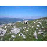 Click para ampliar. Pulsa en el nombre para ver la ficha. dolmen de Aranzadi (GIPUZKOA)