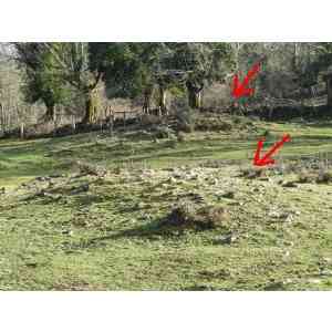 Click para ampliar. Pulsa en el nombre para ver la ficha. Campo tumular de Etxebarrengo Borda(NAVARRA)