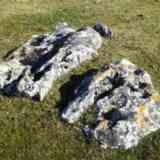 Click para ampliar. posible nuevo menhir en Araba