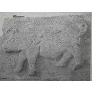 Click para ampliar. Pulsa en el nombre para ver la ficha. Berraco de Cerdido