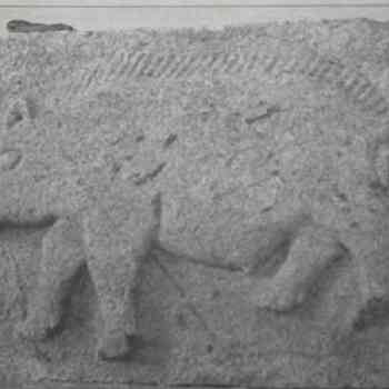 Click para ampliar. Pulsa en el nombre para ver la ficha. Berraco de Cerdido