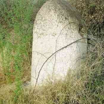 Click para ampliar. Pulsa en el nombre para ver la ficha. fuente2