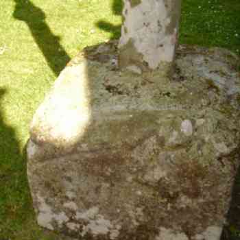 Click para ampliar. Pulsa en el nombre para ver la ficha. Cola da serpe