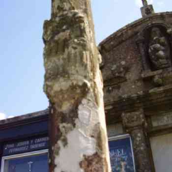 Click para ampliar. Pulsa en el nombre para ver la ficha. Imaxe