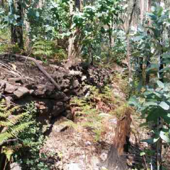 Click para ampliar. Pulsa en el nombre para ver la ficha. POSIBLE CASTRO EN BARBANZA