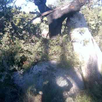 Click para ampliar. Pulsa en el nombre para ver la ficha. dolmen Changarrilla, Valencia de Alcántara (Cáceres)