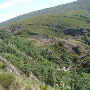 Click para ampliar. Pulsa en el nombre para ver la ficha.