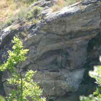 Click para ampliar. Pulsa en el nombre para ver la ficha.