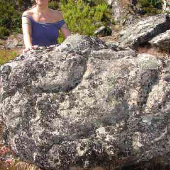 Click para ampliar. Pulsa en el nombre para ver la ficha. ¿PUEDEN SER SERPIENTES?