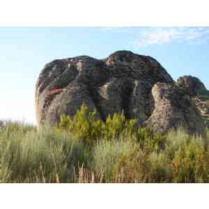 Click para ampliar. Pulsa en el nombre para ver la ficha. Castelo de Formigoso