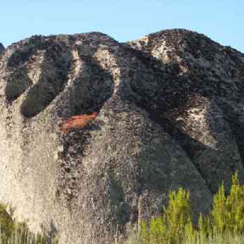 Click para ampliar. Pulsa en el nombre para ver la ficha. Castelo de formigoso