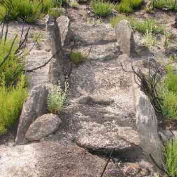 Click para ampliar. Pulsa en el nombre para ver la ficha. ¿puede ser .........?