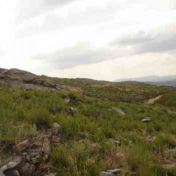 Click para ampliar. Pulsa en el nombre para ver la ficha. Caja de la calzada en la raia