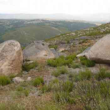 Click para ampliar. Pulsa en el nombre para ver la ficha. CALZADA EN A ESCULQUEIRA
