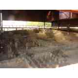 Click para ampliar. Pulsa en el nombre para ver la ficha. Terma-Bracara