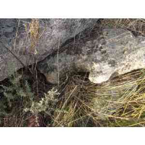 Click para ampliar. Pulsa en el nombre para ver la ficha. Castro de San Millán