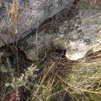 Click para ampliar. Pulsa en el nombre para ver la ficha. Castro de San Millán