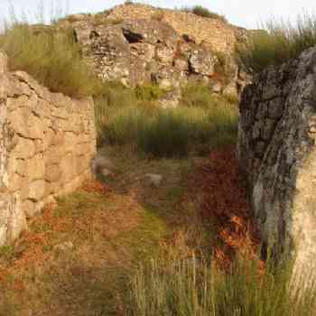 Click para ampliar. Pulsa en el nombre para ver la ficha. Cstro Saceda