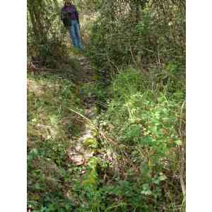 Click para ampliar. Pulsa en el nombre para ver la ficha. Castro Lnhoso