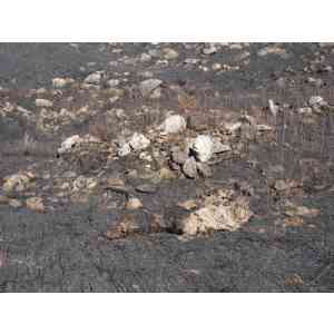 Click para ampliar. Pulsa en el nombre para ver la ficha. Detalle, ruinas