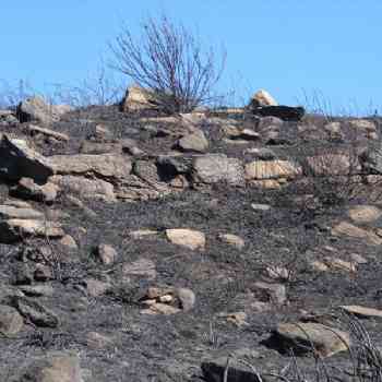 Click para ampliar. Pulsa en el nombre para ver la ficha. Detalle ruinas camino?
