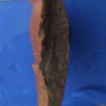 Click para ampliar. Pulsa en el nombre para ver la ficha. terra sigillata 1b