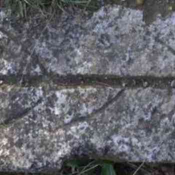 Click para ampliar. Pulsa en el nombre para ver la ficha. Estelas?3