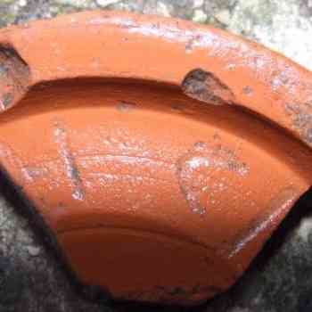 Click para ampliar. Pulsa en el nombre para ver la ficha. fondo plano de tsh inscripc