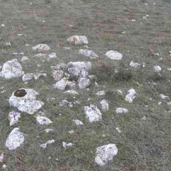 Click para ampliar. Pulsa en el nombre para ver la ficha.