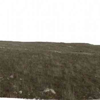 Click para ampliar. Pulsa en el nombre para ver la ficha.