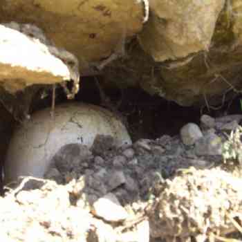 Click para ampliar. Pulsa en el nombre para ver la ficha. Nueva necrópolis encontrada en Ubierna.