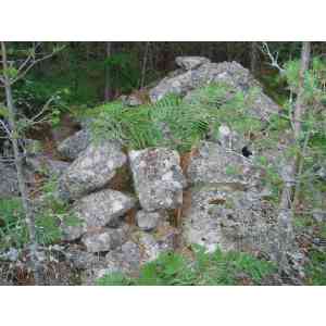 Click para ampliar. Pulsa en el nombre para ver la ficha. Estructuras circulares en Pelendonia. Foto 3.