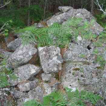 Click para ampliar. Pulsa en el nombre para ver la ficha. Estructuras circulares en Pelendonia. Foto 3.