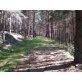 Click para ampliar. Pulsa en el nombre para ver la ficha. Camino ¿calzada? en Pelendonia 01