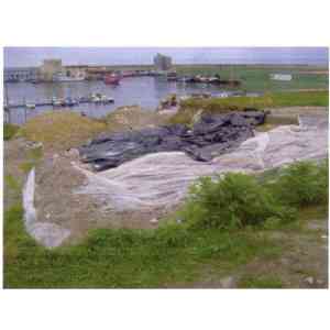 Click para ampliar. Pulsa en el nombre para ver la ficha. foto 1 maglia romana