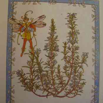 Click para ampliar. Pulsa en el nombre para ver la ficha. Romero