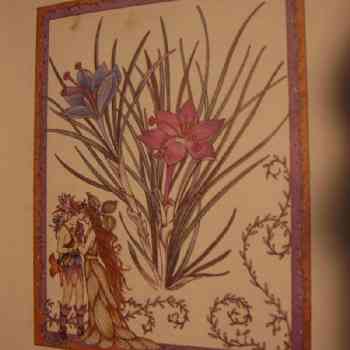 Click para ampliar. Pulsa en el nombre para ver la ficha. Canela