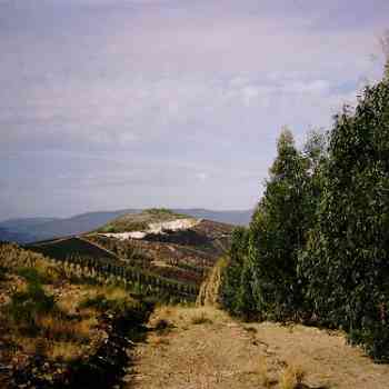 Click para ampliar. Pulsa en el nombre para ver la ficha. argemela, castro (portugal)
