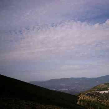 Click para ampliar. Pulsa en el nombre para ver la ficha. argemela, castro