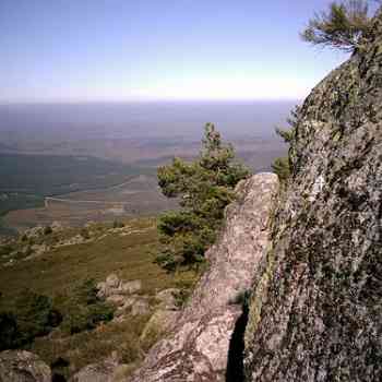 Click para ampliar. Pulsa en el nombre para ver la ficha. jalama, sierra de gata