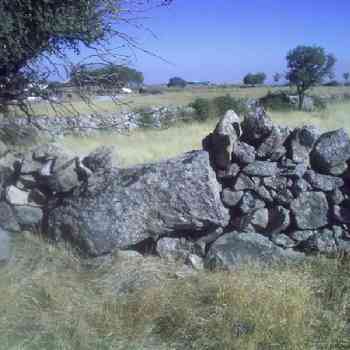 Click para ampliar. Pulsa en el nombre para ver la ficha.