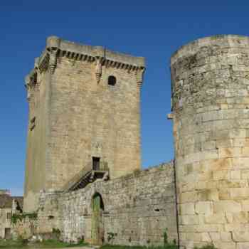 Click para ampliar. Pulsa en el nombre para ver la ficha. entrada del castillo de monterrey