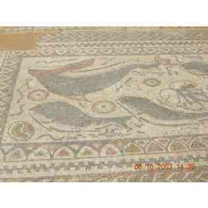 Click para ampliar. Pulsa en el nombre para ver la ficha. Milreu, Portugal - Mosaico em pavimento com peixes