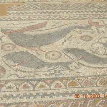 Click para ampliar. Pulsa en el nombre para ver la ficha. Milreu, Portugal - Mosaico em pavimento com peixes